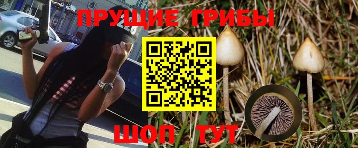 Алексин  купить наркотик  Вход с VPN  Псилоцибиновые грибы GOLDEN TEACHER 